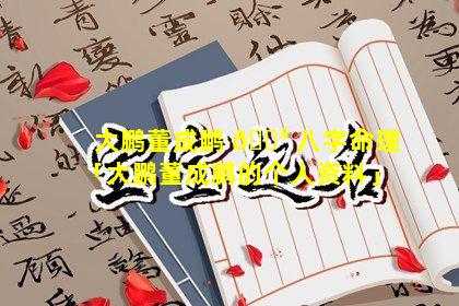 大鹏董成鹏 🐳 八字命理「大鹏董成鹏的个人资料」